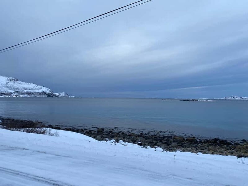 Tromsø Half-Day Tour: Fjords & Sommarøy Adventure - What to Expect from the Tromsø Half-Day Tour: Fjords & Sommarøy Adventure