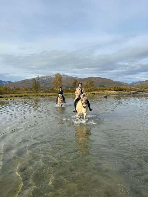 Tromsø: Horseback Riding Tour - The Value of the Tour