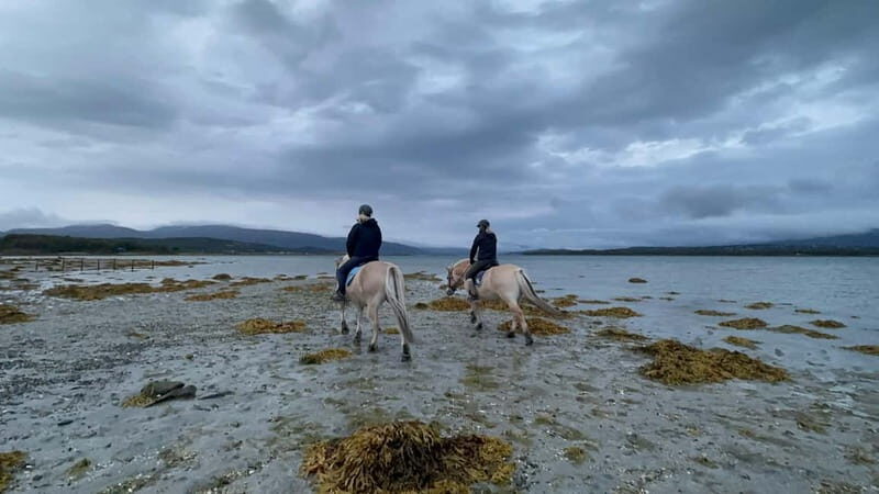 Tromsø: Horseback Riding Tour - Final Thoughts