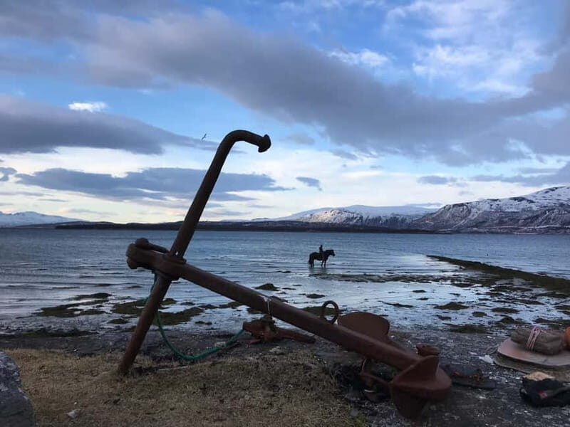 Tromsø: Horseback Riding Tour vinter/summer - Key Points