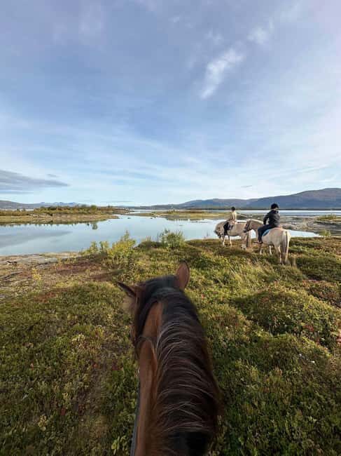 Tromsø: Horseback Riding Tour vinter/summer - Value for Money