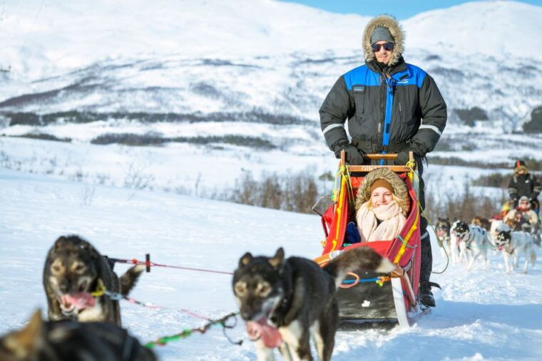 tromso-husky-sled-self-drive-with-traditional-lunch