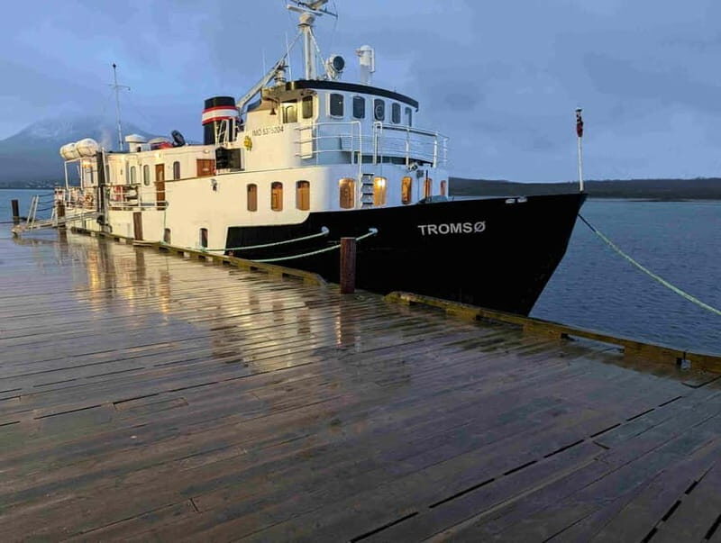 Tromsø: Incredible Cruise of The Outer Fjord - A Deep Dive into the Arctic Cruise Experience