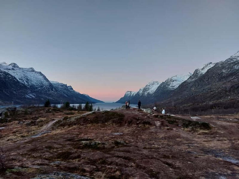 Tromsø: Island of Kvaløya Scenic Sightseeing Minibus Tour - An In-Depth Look at the Tour Experience