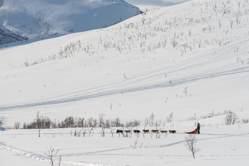 tromso-kvaloya-sommaroy-guided-tour-2