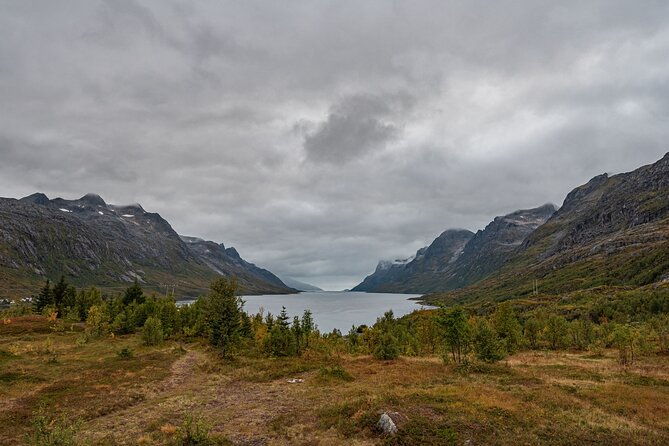 tromso-kvaloya-sommaroy-guided-tour