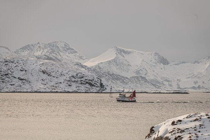 tromso-kvaloya-sommaroy-guided-tour