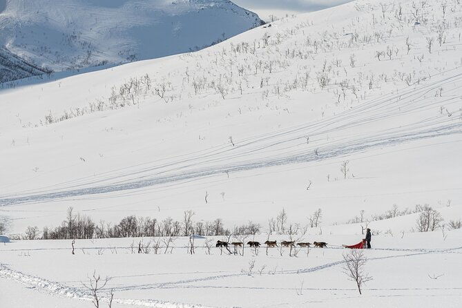 tromso-kvaloya-sommaroy-guided-tour