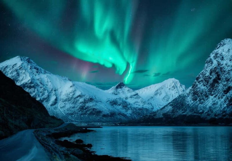 Tromsø: Long Northern Light Tour with Dinner - Considerations and Tips