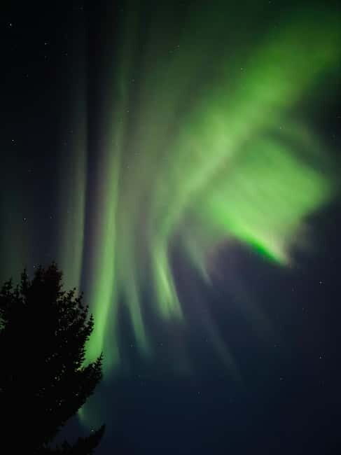Tromsø: Long Northern Light Tour with Dinner - Final Thoughts