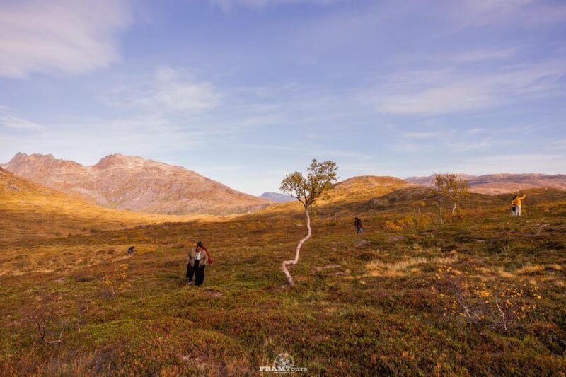 tromso-lyngen-alps-sightseeing-tour-with-lunch