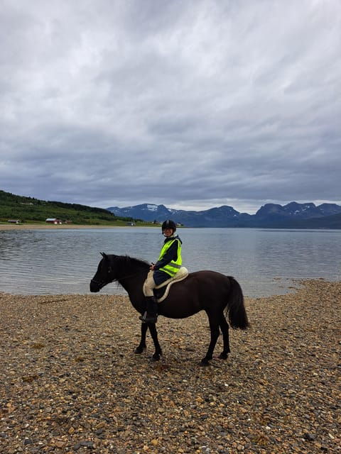 tromso-lyngen-horse-summer-riding-experience