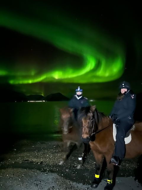 tromso-lyngen-horse-winter-evening-riding-experience