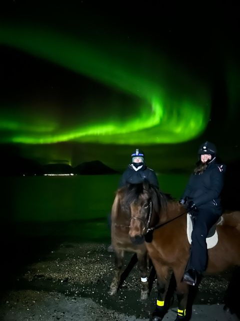 tromso-lyngen-horse-winter-evening-riding-experience