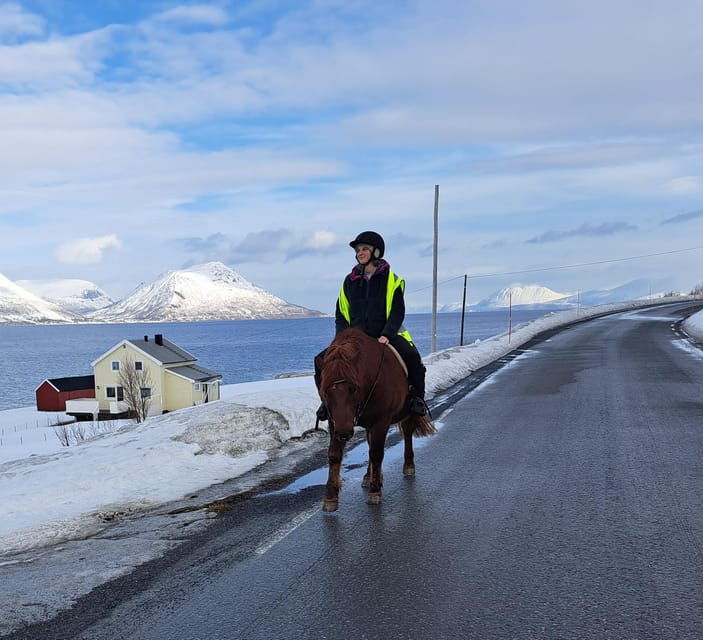 tromso-lyngen-horse-winter-riding-experience