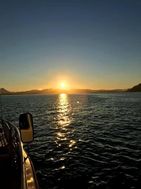 Tromsø: Midnight Sightseeing Cruise All-inclusive - Key Points