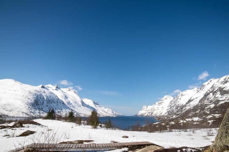 Tromsø: Midnight Sun Adventure with Lunch and Photos - Practical Tips for Participants