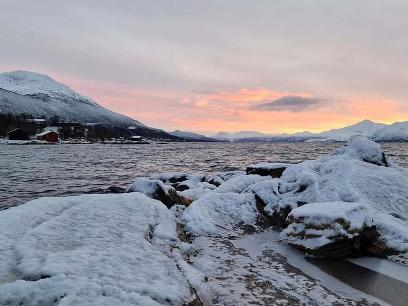 Tromsø: Midnight Sun Adventure with Lunch and Photos - FAQ