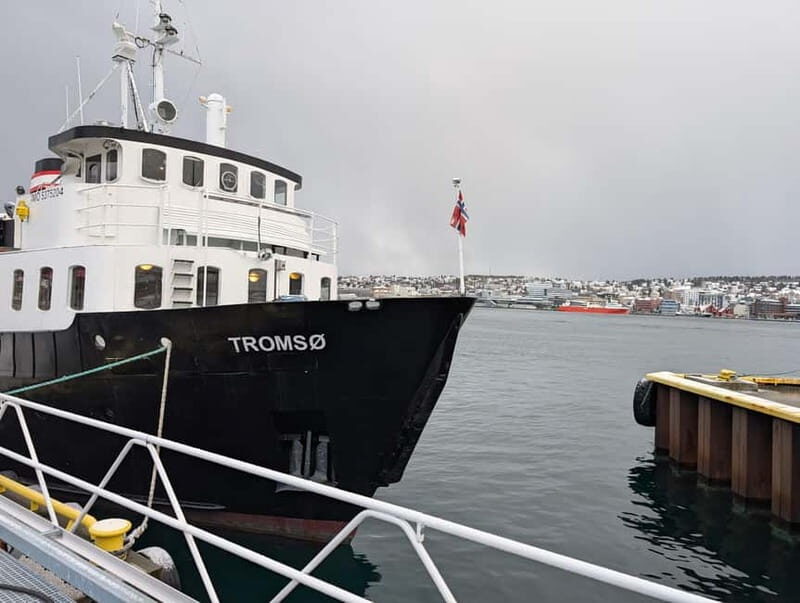 Tromsø: Morning Cruise Through Tromsø`s Fjords - The Sum Up: Who is This Tour Perfect For?