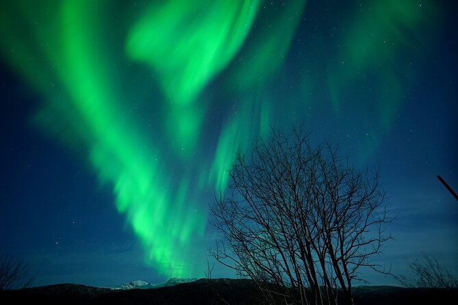 tromso-northern-light-chase-in-minibus-tour-with-campfire