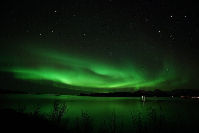 tromso-northern-light-chase-in-minibus-tour-with-campfire