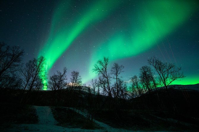 tromso-northern-light-chase-in-minibus-tour-with-campfire