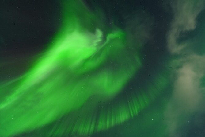 tromso-northern-light-tour-with-free-complimentary-photos