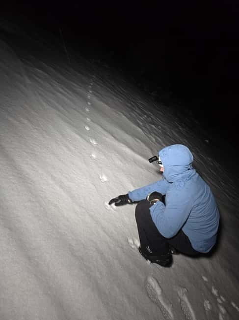Tromsø: Northern Lights and a Starlit Adventure Tour - What Makes This Tour Stand Out?