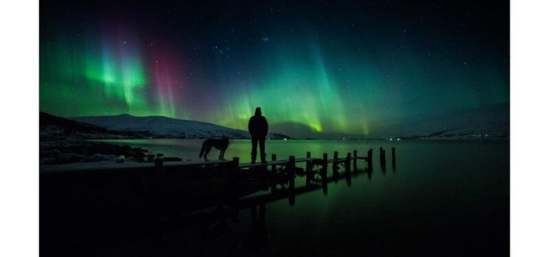 tromso-northern-lights-big-bus-chase-with-free-photos