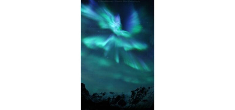 tromso-northern-lights-big-bus-chase-with-free-photos