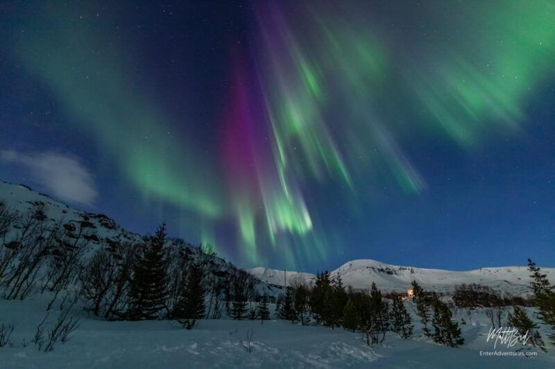 tromso-northern-lights-bus-tour-with-snacks-and-hot-drink