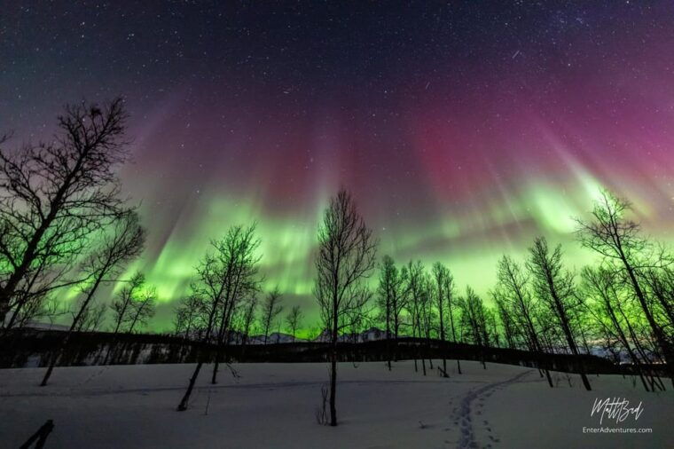 tromso-northern-lights-bus-tour-with-snacks-and-hot-drink