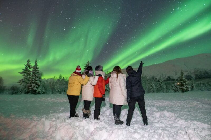 tromso-northern-lights-camp-experience-with-hot-local-meal