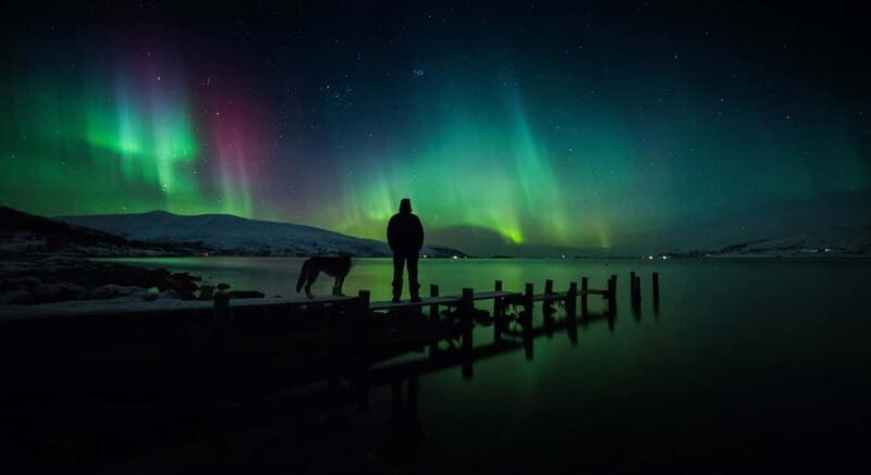 Tromsø: Northern Lights Chase + Free Professional Photos - Price & Value Analysis