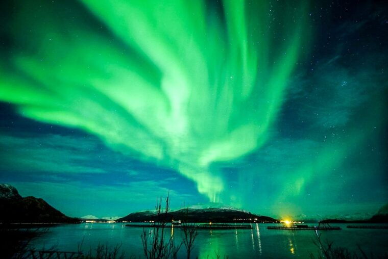 tromso-northern-lights-chase-minibus-tour