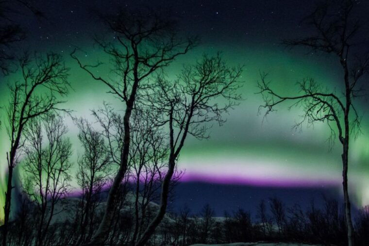 tromso-northern-lights-chase-with-free-photos