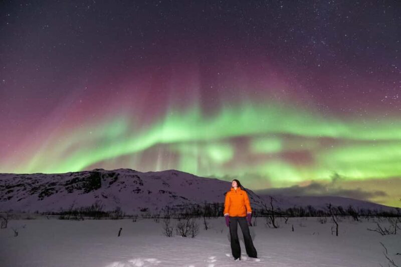 Tromsø: Northern Lights Chase with Photos and Guide - Key Points