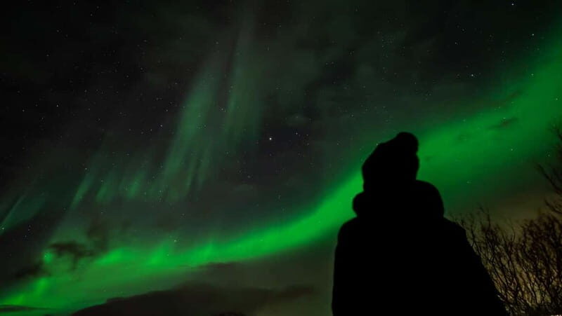 Tromsø: Northern Lights Focus Tour, German/English, minibus, meal - Key Points