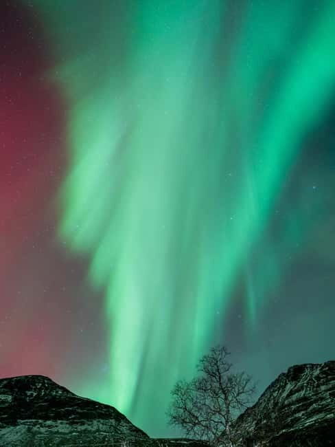 Tromsø: Northern Lights Focus Tour, German/English, minibus, meal - Transportation and Group Size