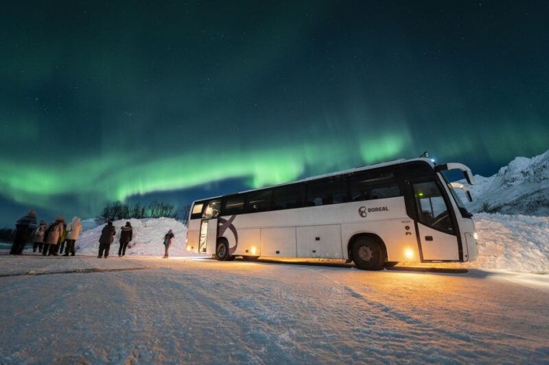 tromso-northern-lights-guided-bus-tour