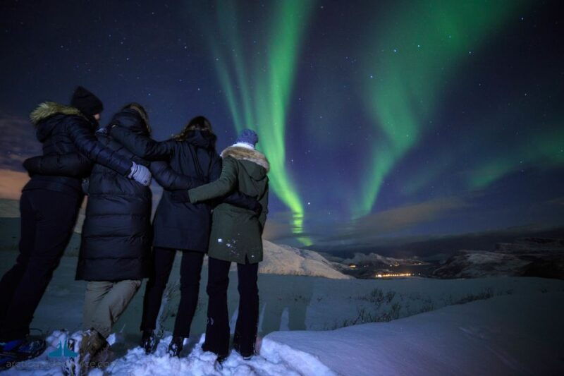 tromso-northern-lights-guided-bus-tour