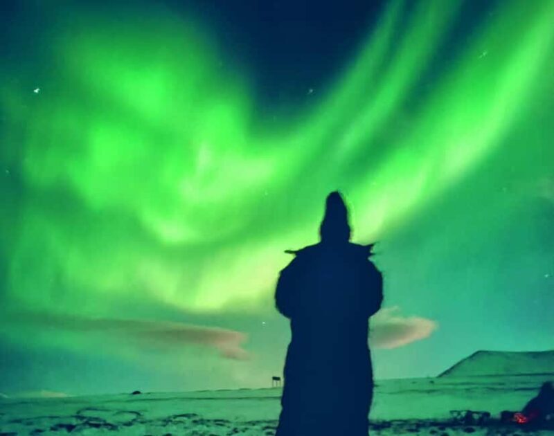 Tromsø: Northern Lights Guided Tour with Bonfire and Snacks - The Experience: What to Expect on the Tour