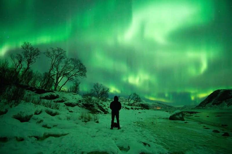 Tromsø: Northern Lights Hunt in French with Photographer - Authentic Arctic Experience: Campfire and Hot Drinks