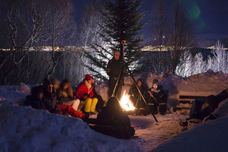tromso-northern-lights-husky-visit-with-traditional-dinner