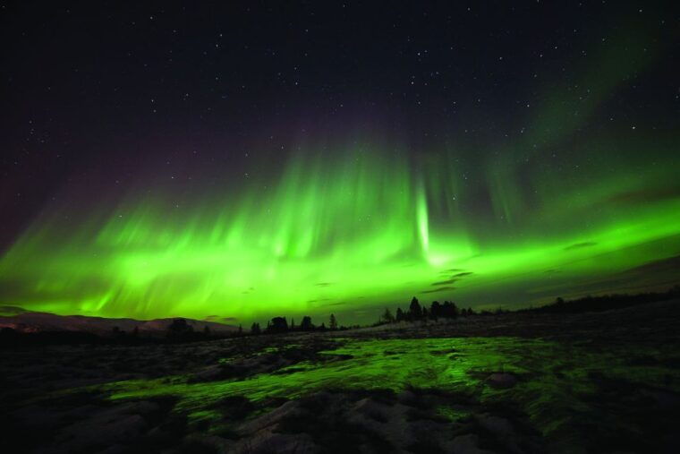 tromso-northern-lights-husky-visit-with-traditional-dinner