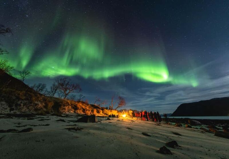 Tromsø: Northern lights in a minibus, including photos and a warm meal! - Key Points  
