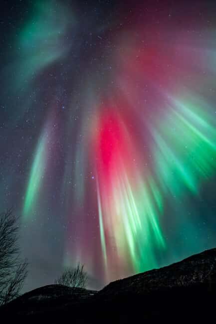 Tromsø: Northern lights in a minibus, including photos and a warm meal! - The Real Guest Experience  