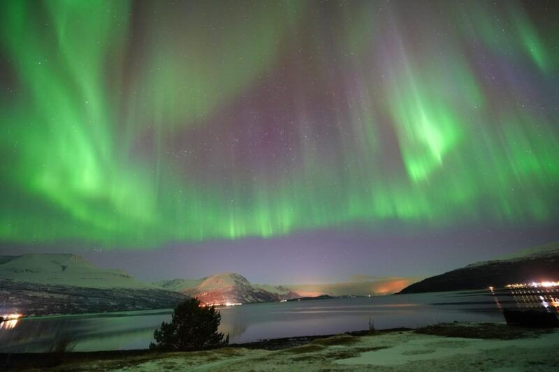 tromso-northern-lights-minibus-tour-with-campfire
