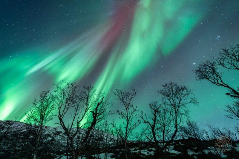 tromso-northern-lights-photography-small-group-tour
