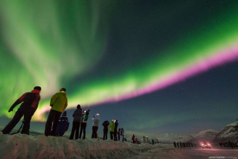 tromso-northern-lights-photography-tour-by-bus-or-minibus